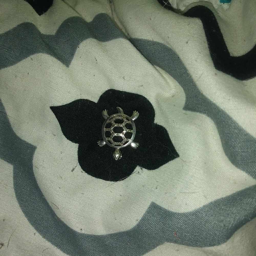 Sterling Sliver turtle charm